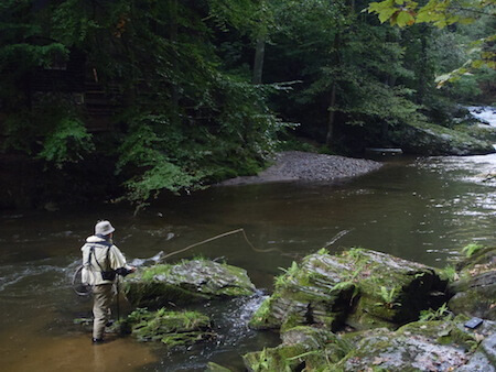 Kamenice Canyon