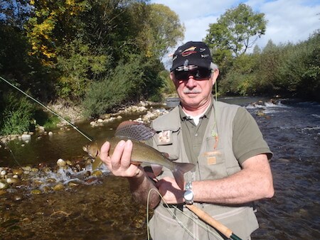 Czech Grayling